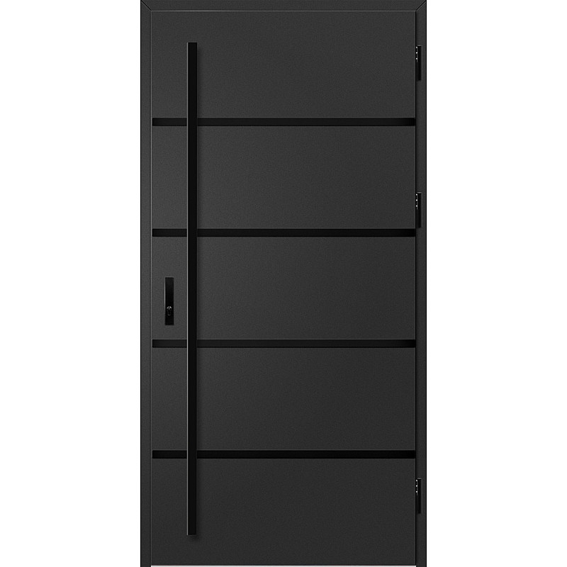 Ocelové vchodové dveře - BIENE 1 - Černá, Label Black Ocelové vchodové dveře ERKADO - BIENE 1 - Černá, Label Black
