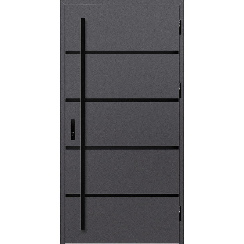 Ocelové vchodové dveře - BIENE 1 - Hladký Antracit, Label Black Ocelové vchodové dveře ERKADO - BIENE 1 - Hladký Antracit, Label Black