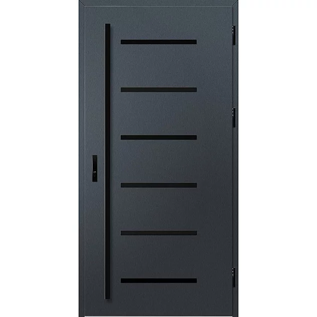 Ocelové vchodové dveře ERKADO - BIENE 4 - Antracit Struktura, Label Black