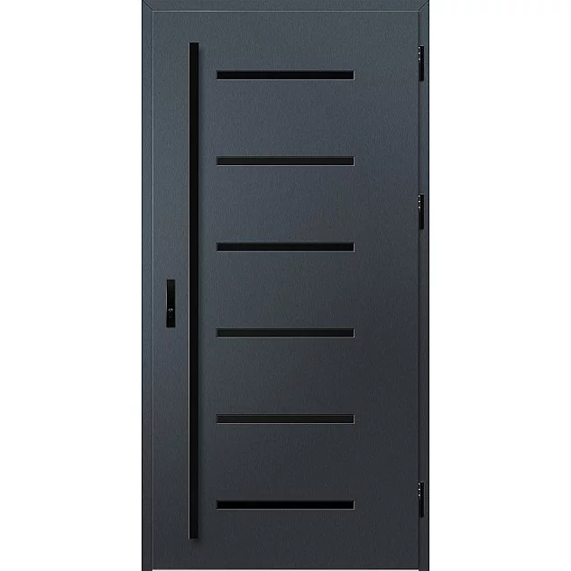 Ocelové vchodové dveře ERKADO - BIENE 4 - Antracit Struktura, Stamp Black