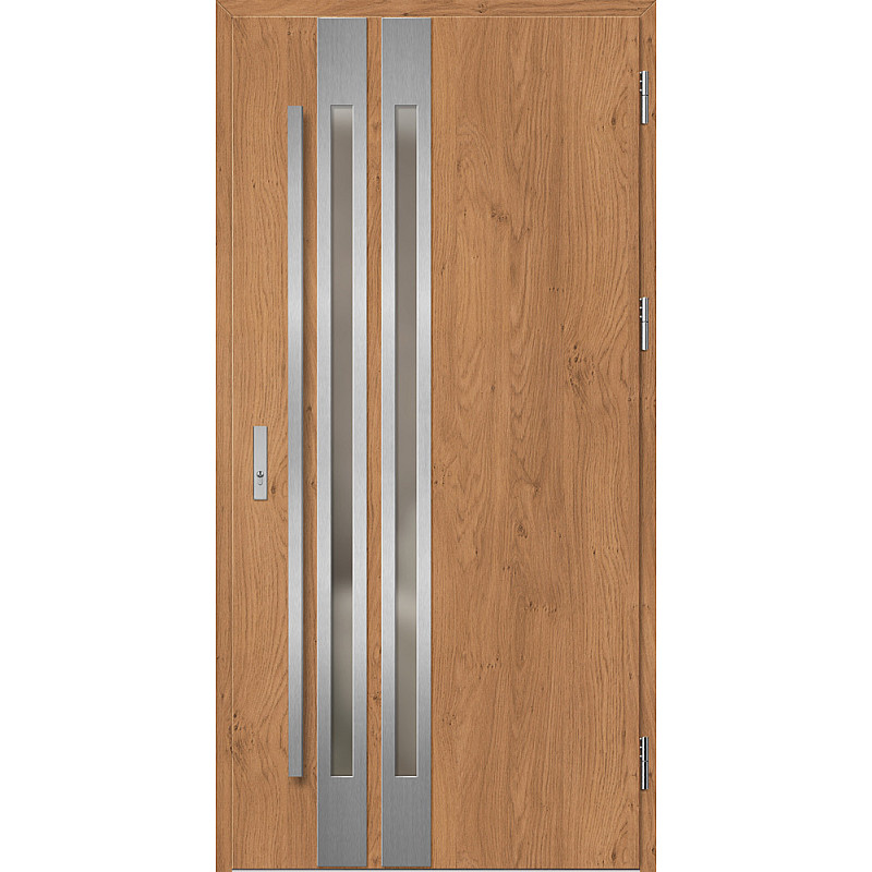 Ocelové vchodové dveře - LEIMEN 2 - Winchester, Label Inox Ocelové vchodové dveře ERKADO - LEIMEN 2 - Winchester, Label Inox