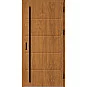 Ocelové vchodové dveře ERKADO - LUTTER 2 - Zlatý dub, Stamp Roller