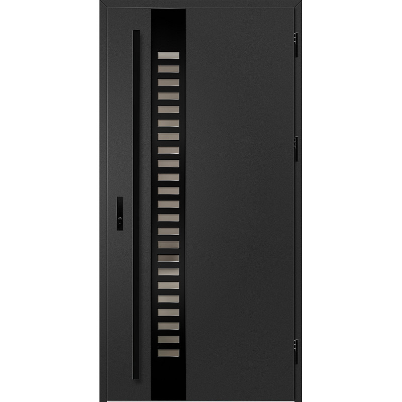 Ocelové vchodové dveře - SELTERS 2 - Černá, Label Black Ocelové vchodové dveře ERKADO - SELTERS 2 - Černá, Label Black