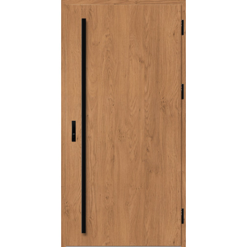 Ocelové vchodové dveře - SOLID - Winchester Ocelové vchodové dveře ERKADO - SOLID - Winchester