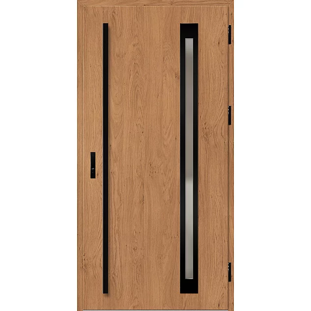 Ocelové vchodové dveře ERKADO - TREBUR 3 -  Winchester, Label Black