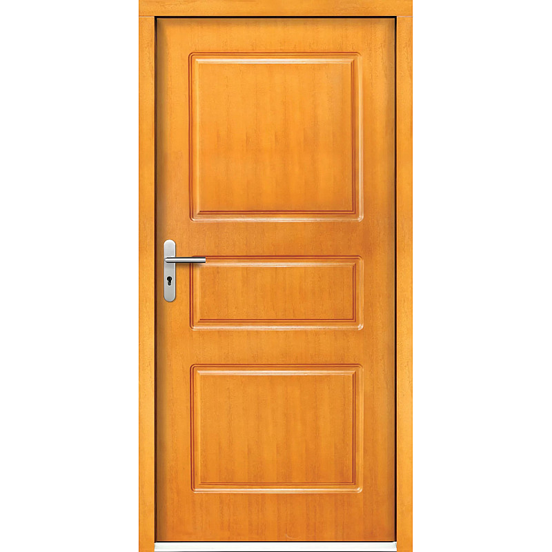 Haustür P1 Haustür P1