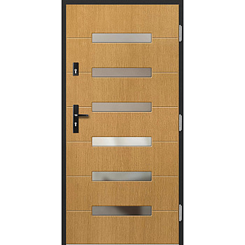 Haustür P55