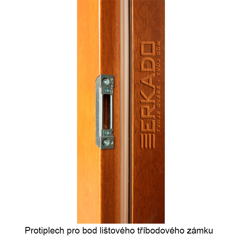 Haustür P152 Haustür P152